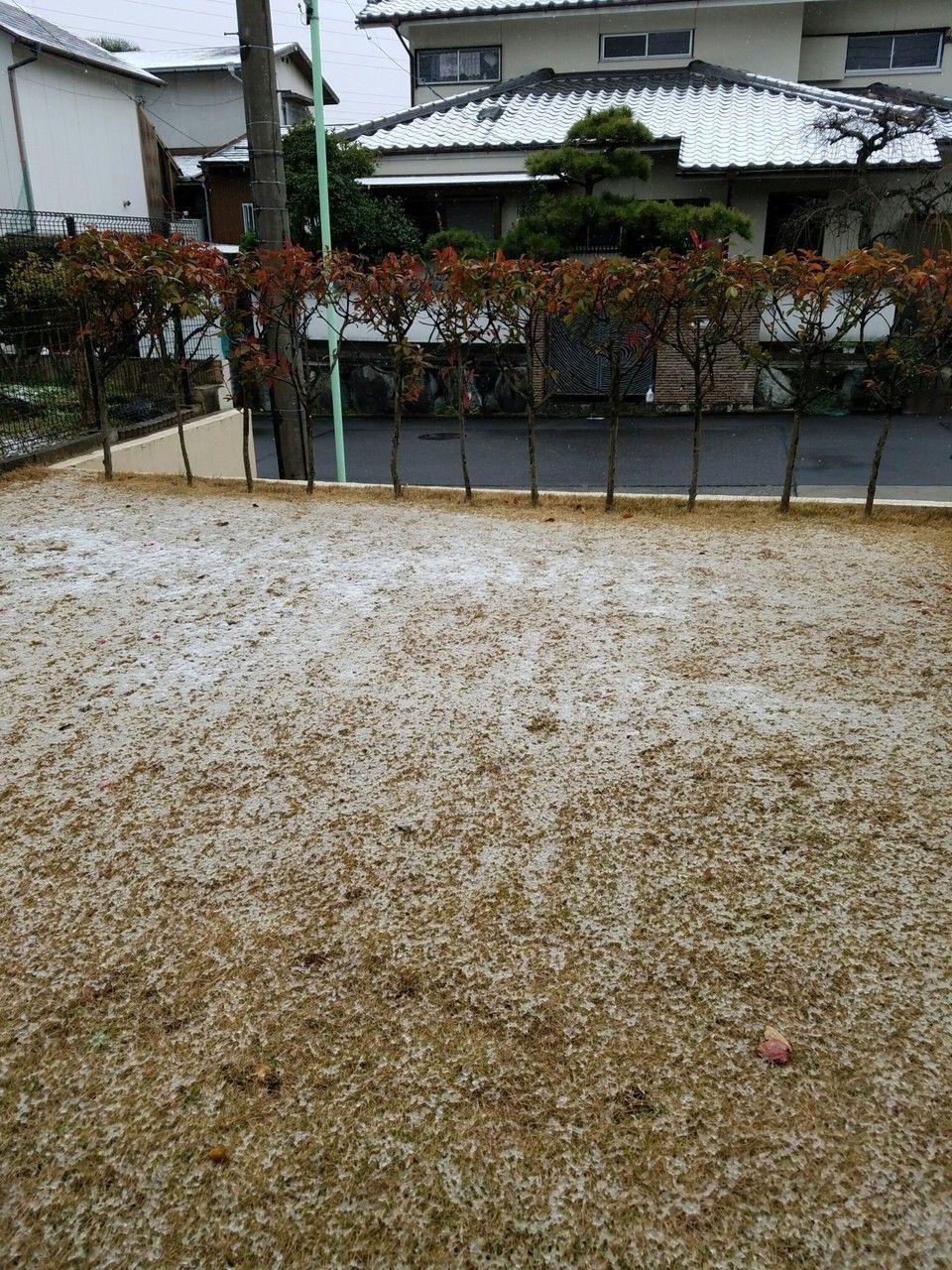 名古屋初雪