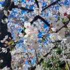 4月の営業日のお知らせ